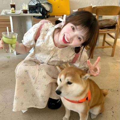 儍伯嬉春