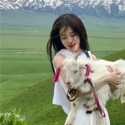 终极警探总动员